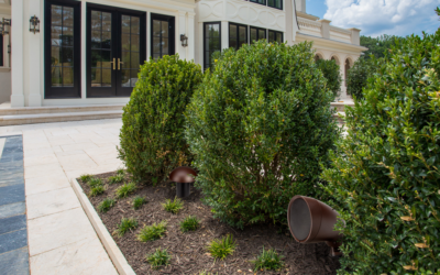 Crestron AIR Landscape Speakers