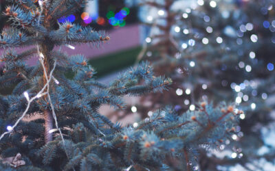 4 eCommerce Holiday Marketing Tips
